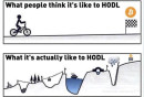 HODL ✊️ #Bitcoin